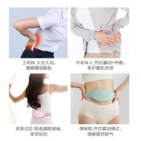 海尔(Haier)暖宫腰带 腹部按摩仪 加热震动按摩器 送女友家人生日礼物 薄荷绿