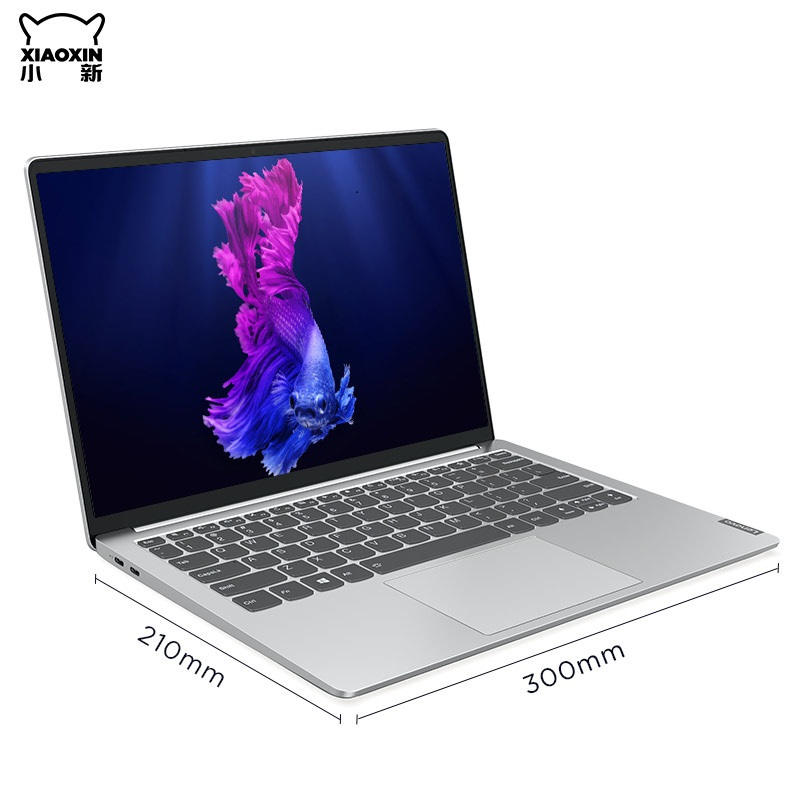 联想(Lenovo) 小新Pro13 商务版 全面屏轻薄笔记本电脑 单个装