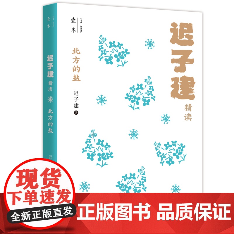 北方的盐:迟子建精读(壹本系列)高清大图
