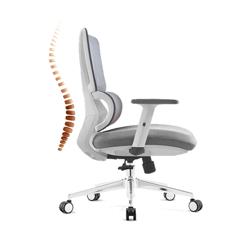 臻远 ZY-8940 办公椅人体工学椅转椅 定型棉白框 单位:把高清大图