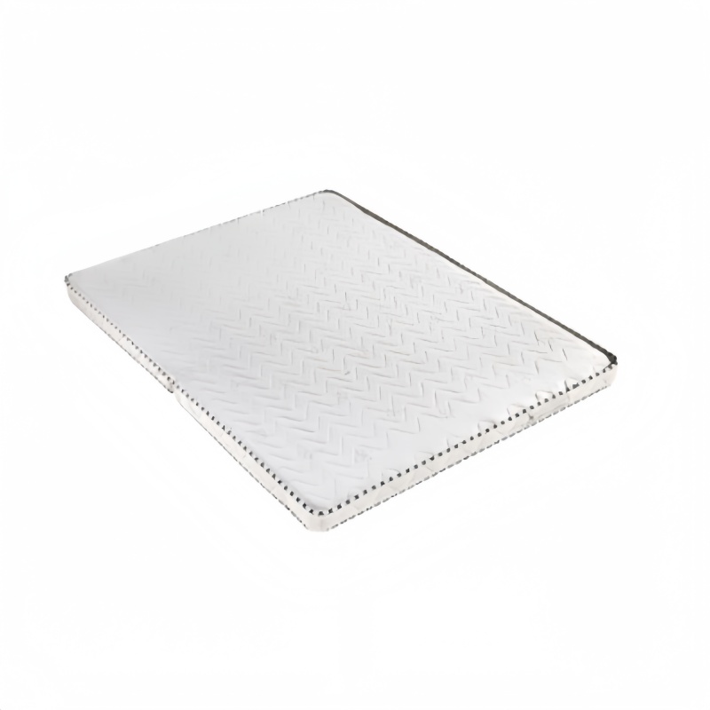 金佑莱 椰棕床垫 1200*2000*100mm JYL01 张高清大图