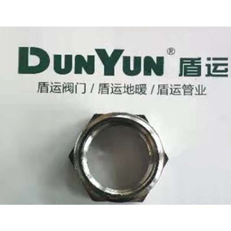 盾运(DUNYUN)铜补芯4分 整箱销售 600只/箱