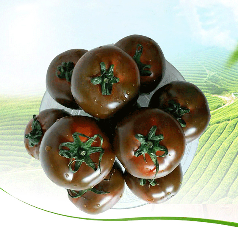 江苏乡村振兴财政集采苏米丰迷彩巧克力西红柿小番茄2kg箱4箱起订单拍