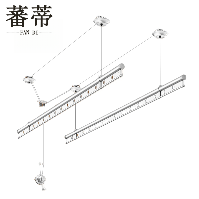 蕃蒂