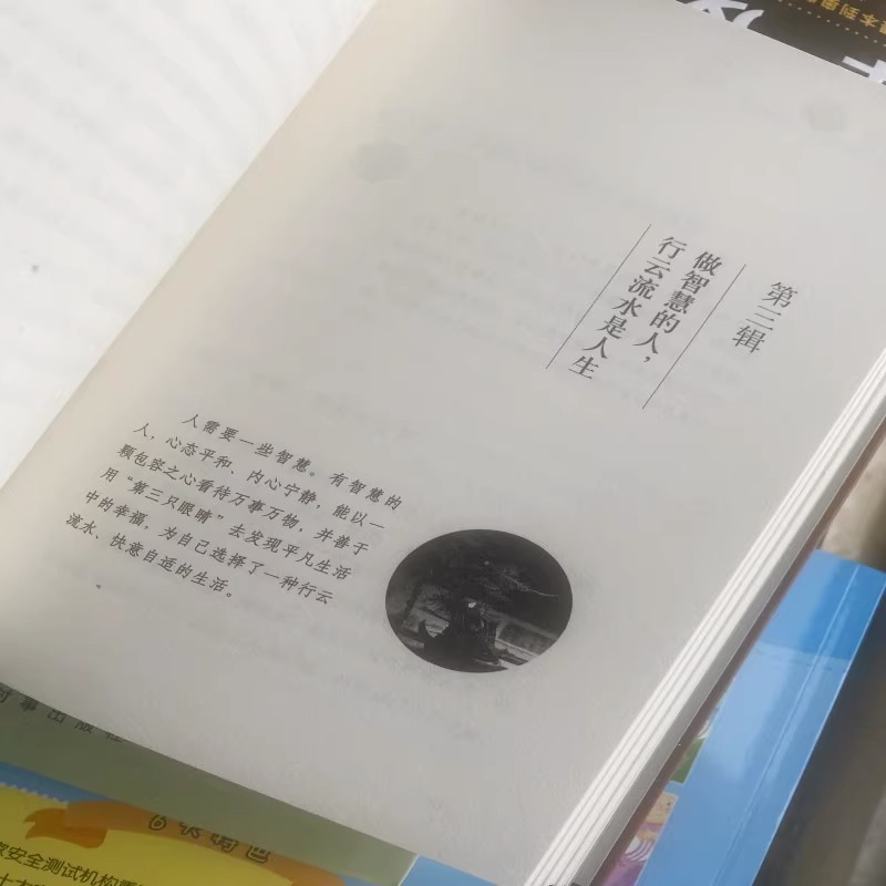 [正版]顿悟(洒脱的智慧)吴明国 励志与成功人生哲学通俗读物 时事出版社书高清大图