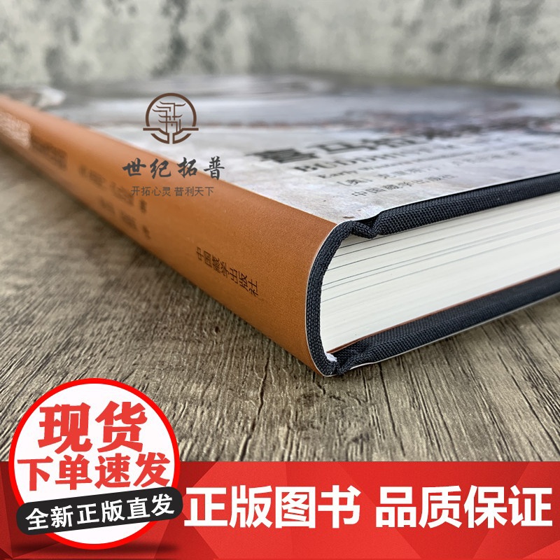 正版 喜马拉雅西部早期佛教泥塑 10世纪末至13世纪初 (奥)克里斯汀·卢扎尼兹(Christian Luczani高清大图