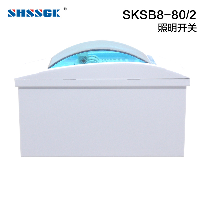 赛时工控(SHSSGK) SKSB8-80/2 照明开关(单位:台)配色