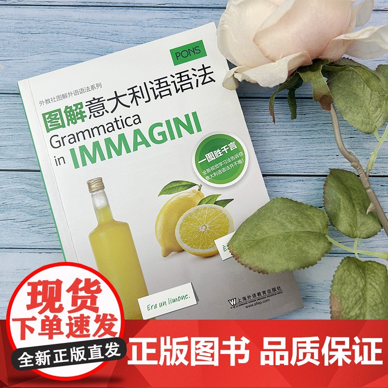 图解意大利语语法 托马迪编著外教社图解外语语法 意大利语语法自学学习书籍意大利语语法天天学上海外语教育出版社 97875高清大图