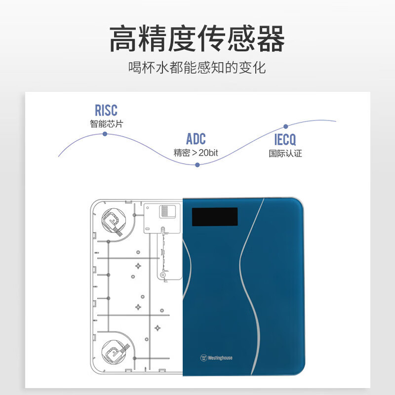 西屋 体脂秤-T201绅士蓝高清大图