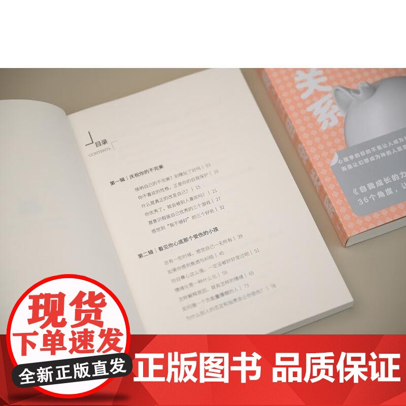 不完美,但没关系 丛非从/著 心理 价值感 家庭 亲子 感性 理性 安全感 人际关系 性格 自恋 自卑广西师范大学出版社高清大图