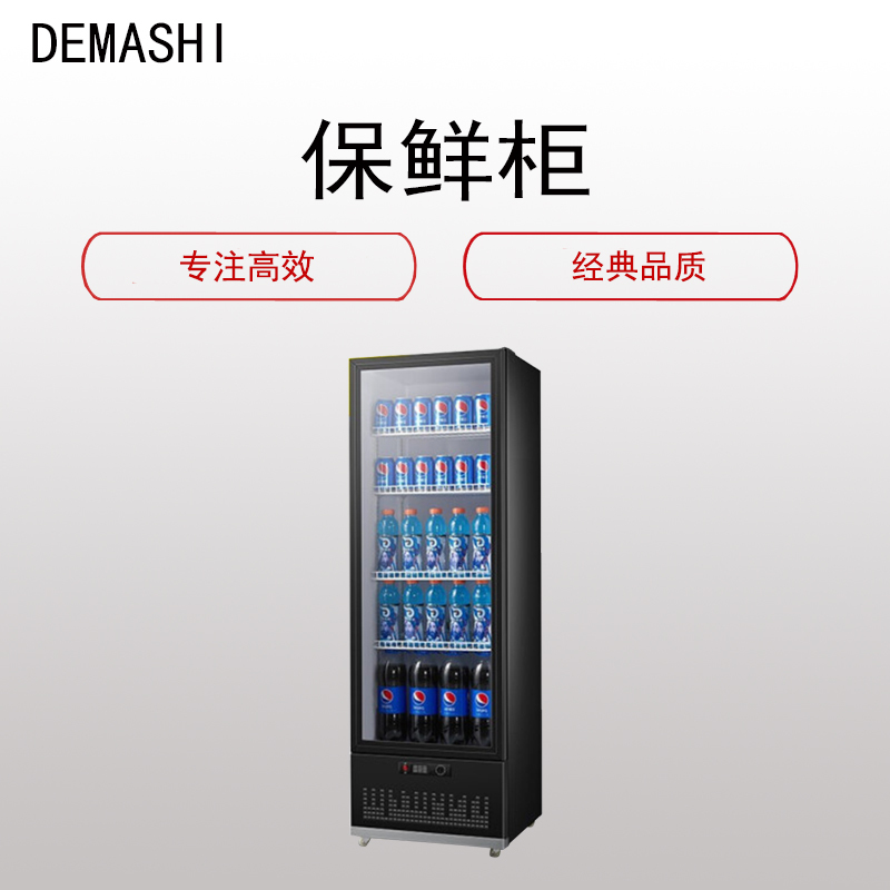 德玛仕(DEMASHI)冷 藏柜保 鲜柜(展示柜 立式冰柜 留样柜)