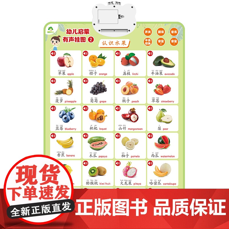 爱德少儿 幼儿启蒙有声挂图 一点就会读的有声认知书挂图有声早教幼儿童宝宝启蒙认知字母表墙贴学习神器宝宝早教点读发声书婴儿高清大图