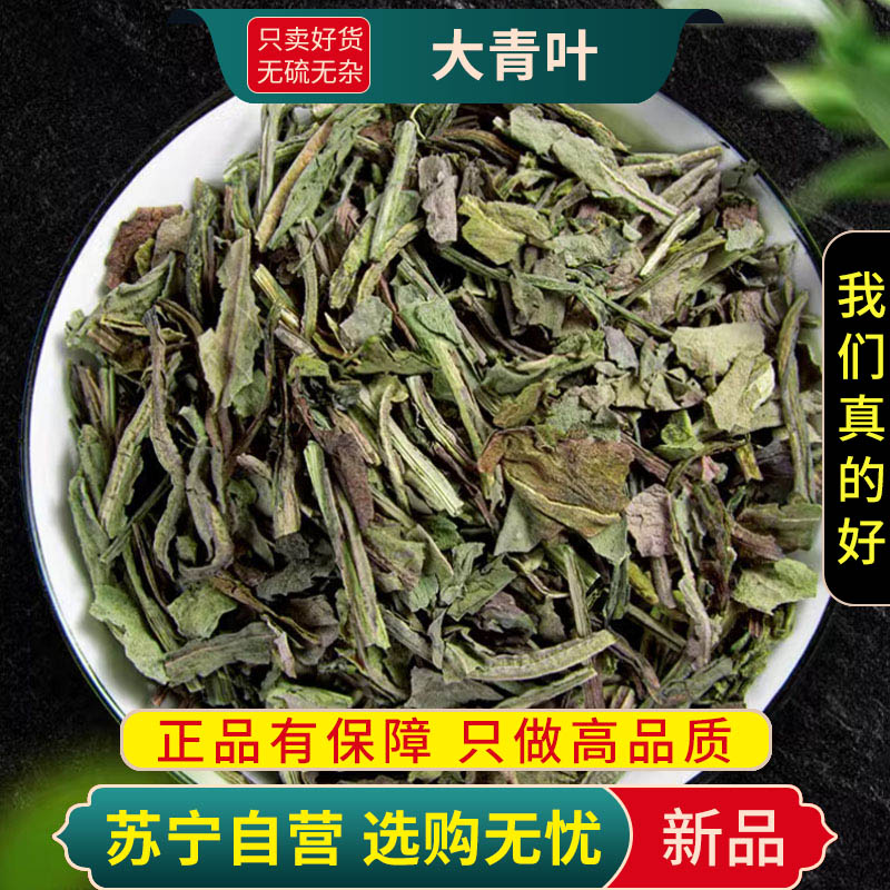 大青叶100克大青叶茶干货板蓝根叶子大青叶煮水泡茶正品甄选大青叶高清大图