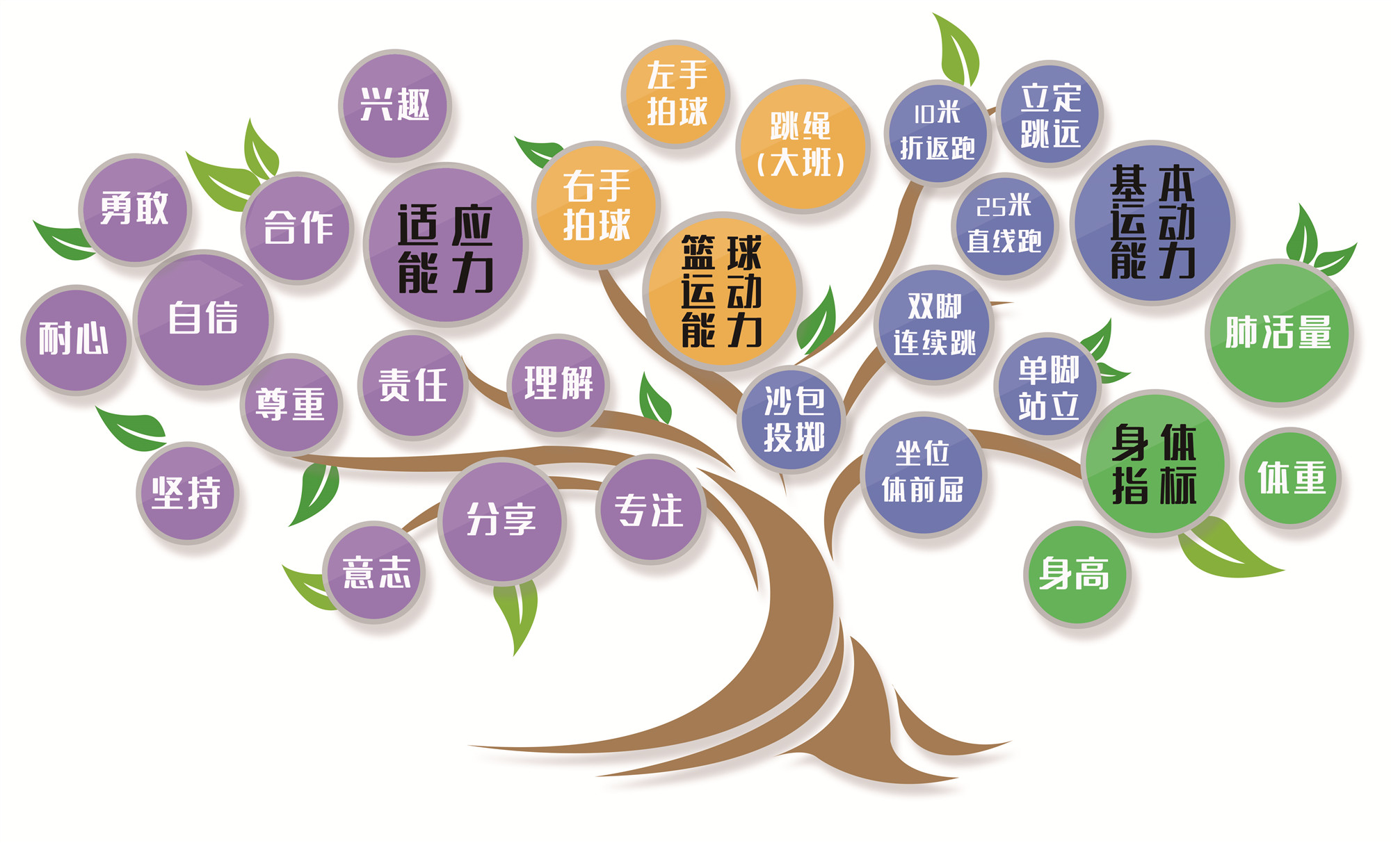 幼儿篮球游戏指导用书高清大图
