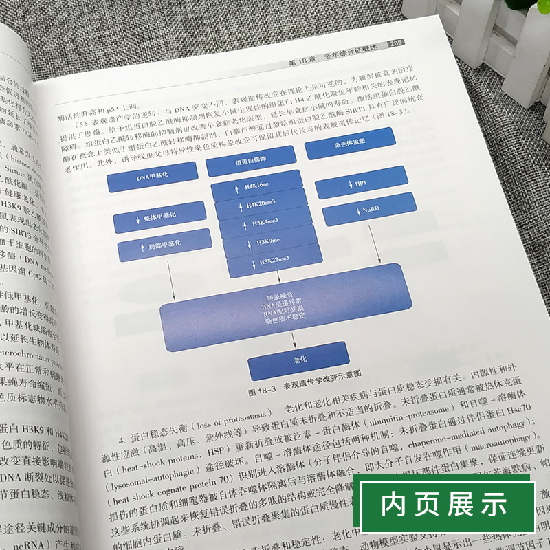 [正版] 老年医学 于普林衰老生物学流行病学心理学临床营养临床药理学合理用药综合征常见疾病特点功能评估康复治疗 人民高清大图