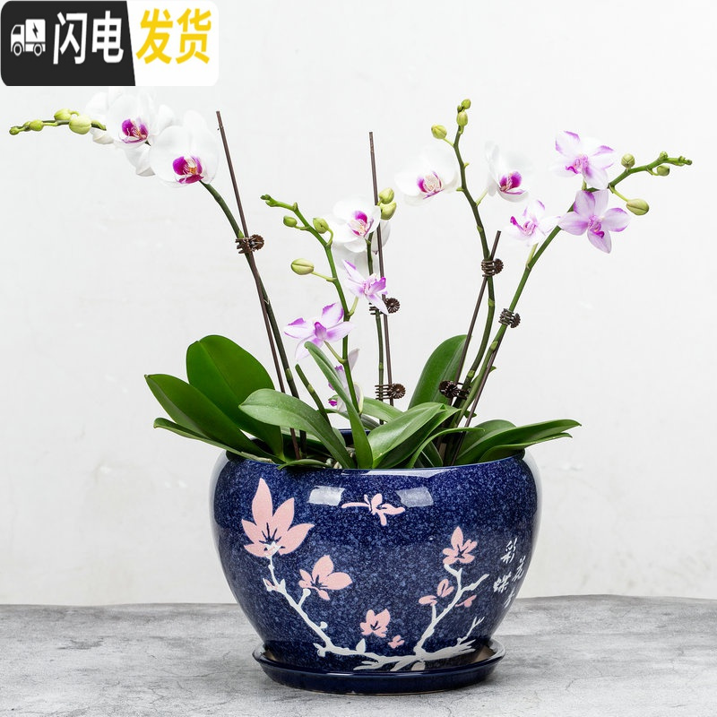 三维工匠花盆陶瓷盆家用大号兰花盆透气花盆吊兰花盆 陶瓷 特大盆栽盆 S-PG黄花釉 外肚径[约19-20cm花盆容器