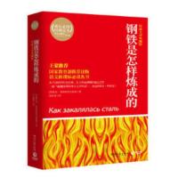 正版 钢铁是怎样炼成的+傅雷家书 全2册 奥斯特洛夫斯基/傅敏编 湖南文艺/译林出版社 八年级下学生课内外寒假阅读推荐c