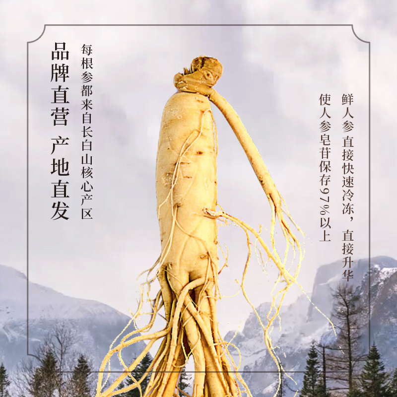 长白山人参活性冻干参片皂苷丰富冻干参片25g*1罐高清大图