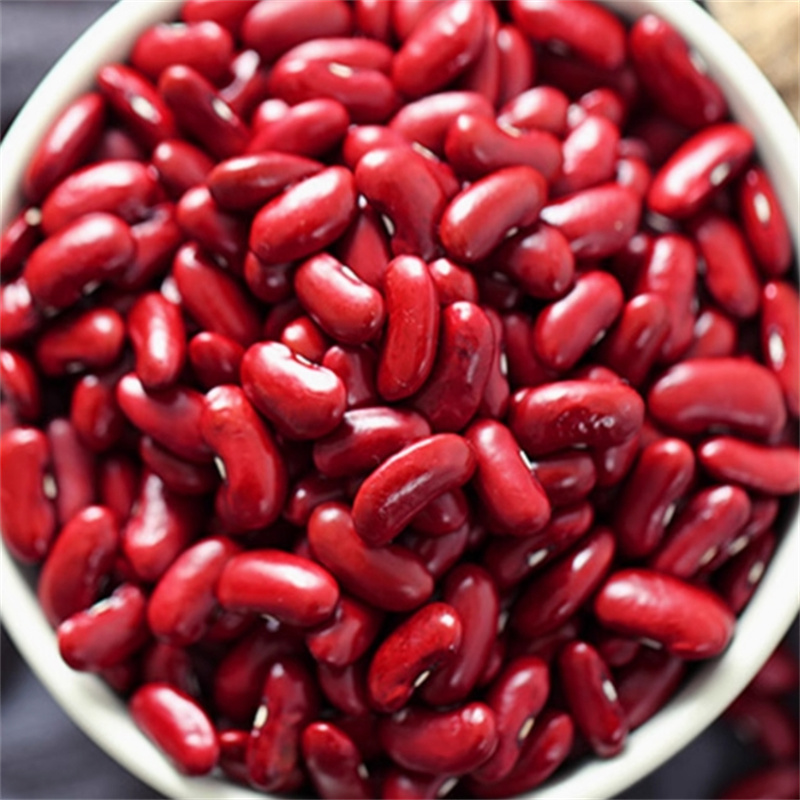 甄选红芸豆100克正品货五谷杂粮豆煲汤红芸豆五谷杂粮9260高清大图