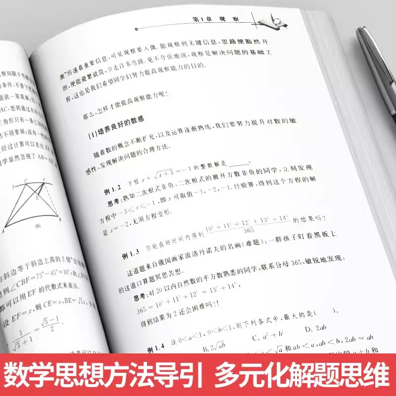 初中数学思想方法导引 [正版]初中数学思想方法导引孙厚康 浙大优学七八九年级上下册初中数学解题技巧辅导资料书中学生初一初
