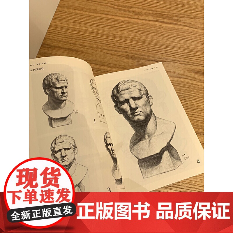 素描·石膏像——零起点美术技法入门系列高清大图