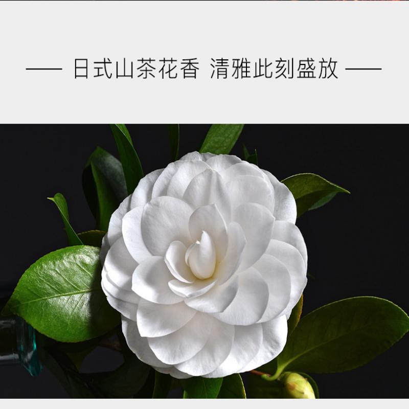 东方宝石(Tesori D Oriente) 日式风情香薰蜡烛200ml高清大图