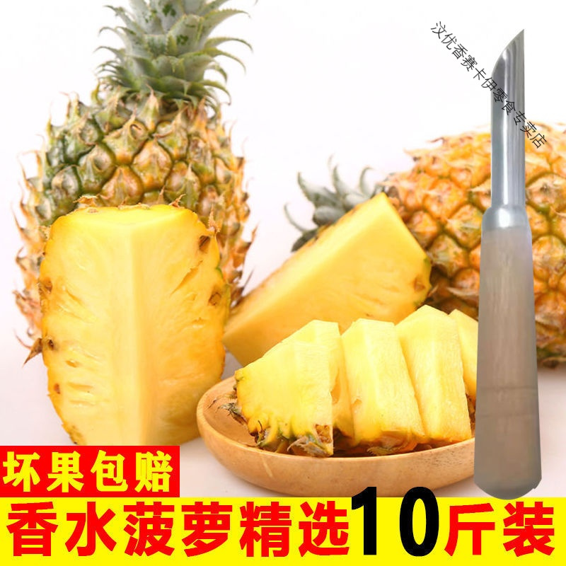 菠萝新鲜水果 当季整箱应季手撕凤梨小菠萝蜜 带箱9.2-10斤[店主推荐]送刀