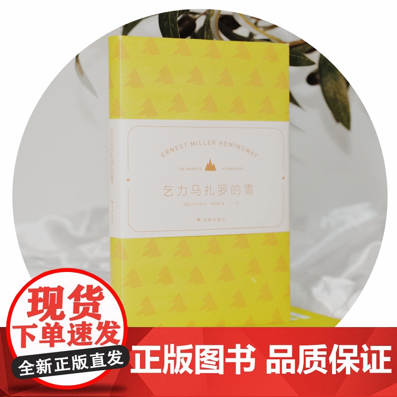 海明威精选集:乞力马扎罗的雪(名家名译,16个短篇杰作,精巧小开本,赠场景香氛(松林)书签)高清大图