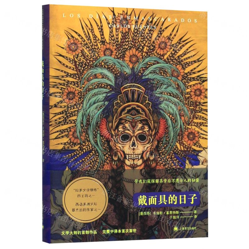 【N】戴面具的日子(精)-9787532781096