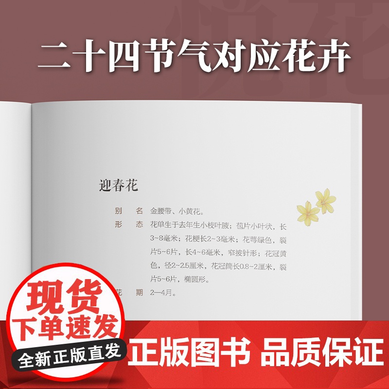 花时可期:二十四节气花卉药食图册 广东科技出版社高清大图