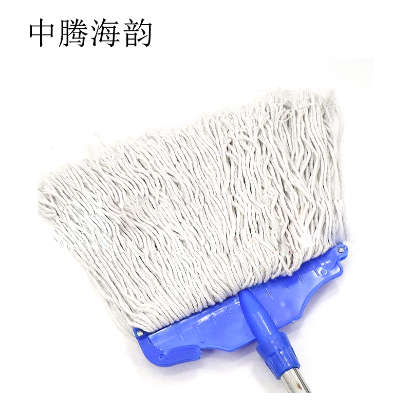 中腾海韵 蜡托 30cm 个高清大图