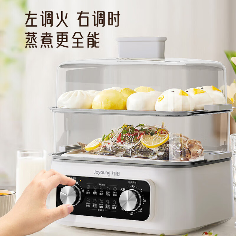 九阳DZ150HG-GZ616 电蒸锅高清大图