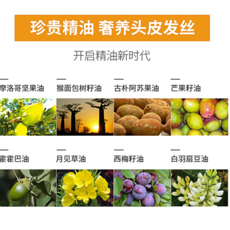 黛丝恩 摩洛哥油护发素 滋润亮泽型 750ml