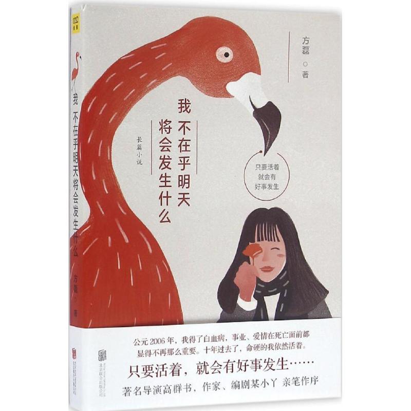 正版新书】我不在乎明天将会发生什么方磊 著9787550277694