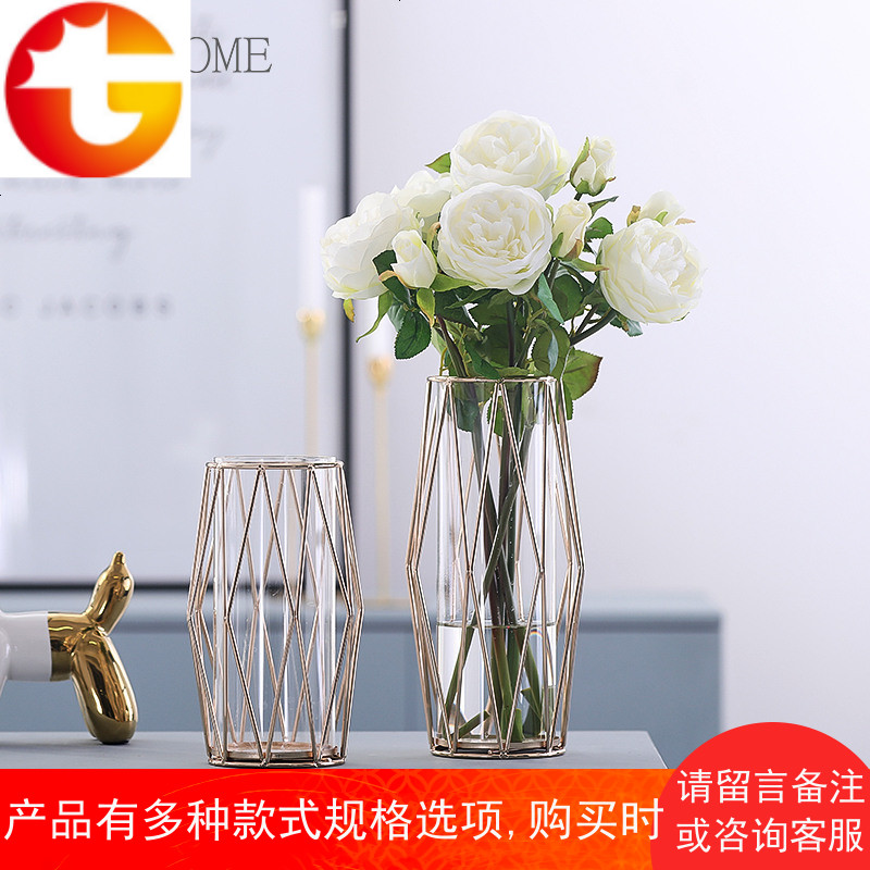 北欧简约几何玻璃透明水培花器干花插花器铁艺花瓶客厅装饰品摆件