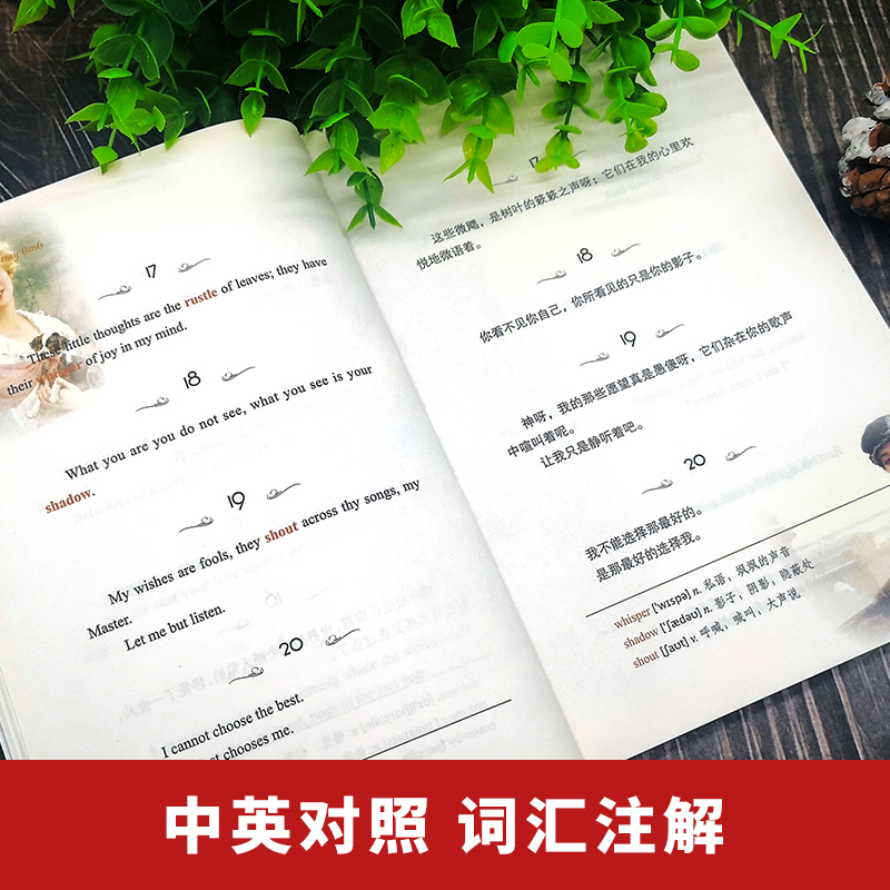 醉染图书飞鸟集(英汉对照注释版)9787511037893高清大图