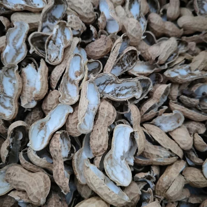 发酵腐熟花生壳蝴蝶兰科石斛通用蛇木植料种兰花有机皮营养土