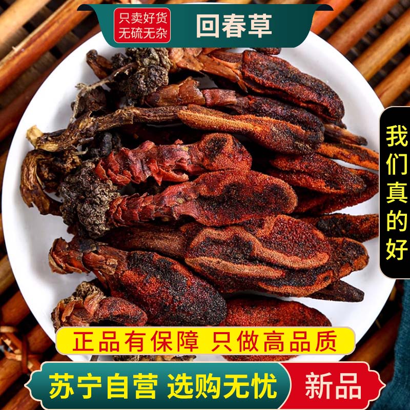 甄选回春草100克不老草干货袋装新货正品列当回春草草苁蓉干货泡酒高清大图