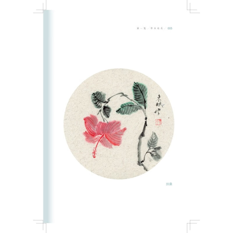 [醉染正版] 草木五笺 植物与中国传统文化 于业礼 草木题材的散文集草木名称草木著述本草著作插图药用功效 上海科高清大图