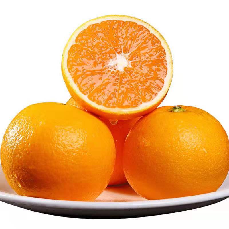 1陈小四水果 秭归 九月红橙 2.