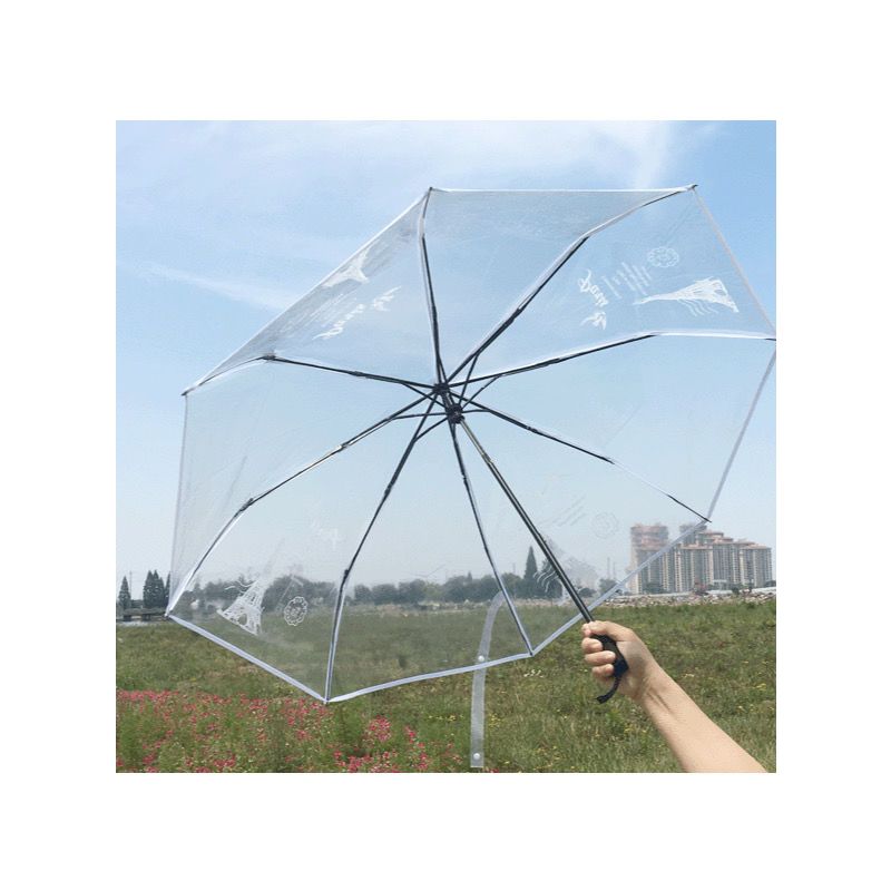 鱼丸 伞韩国透明长柄雨伞折叠ins小清新三折自动自晴雨伞