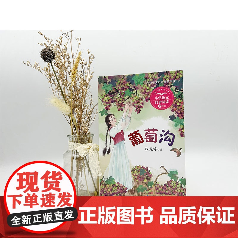 葡萄沟 权宽浮 二年级上册语文教材同步阅读 全彩插图精校注音无障碍阅读名师导读二年级课外非读书籍 长江文艺高清大图