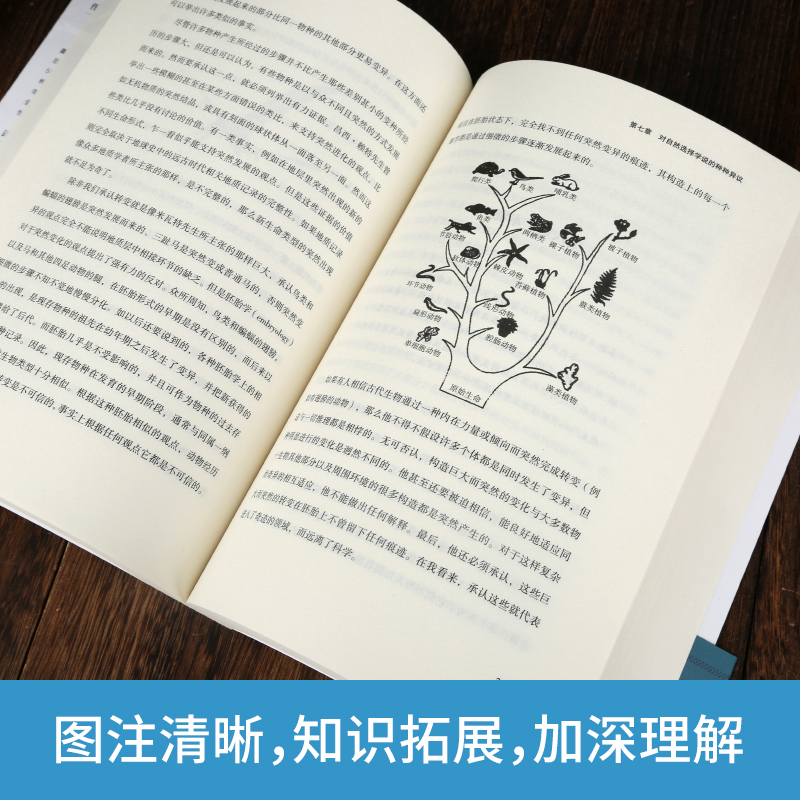 [正版]物种起源 达尔文原著自然进化遗传生物学著作 插图经典版 青少年高中生阅读自然科学科普读本