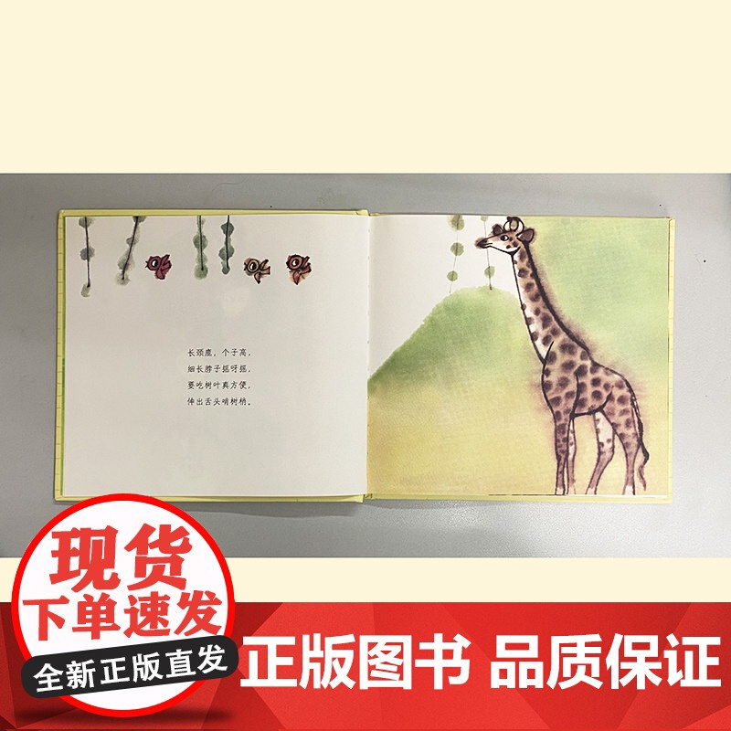 动物园 精装硬壳 詹同精选集国漫经典原创中国风少儿绘本儿童图书3-6周岁幼儿园宝宝早教启蒙认识动物绘本图画故事书朝华出版高清大图