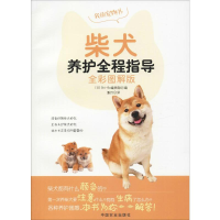 柴犬养护全程指导