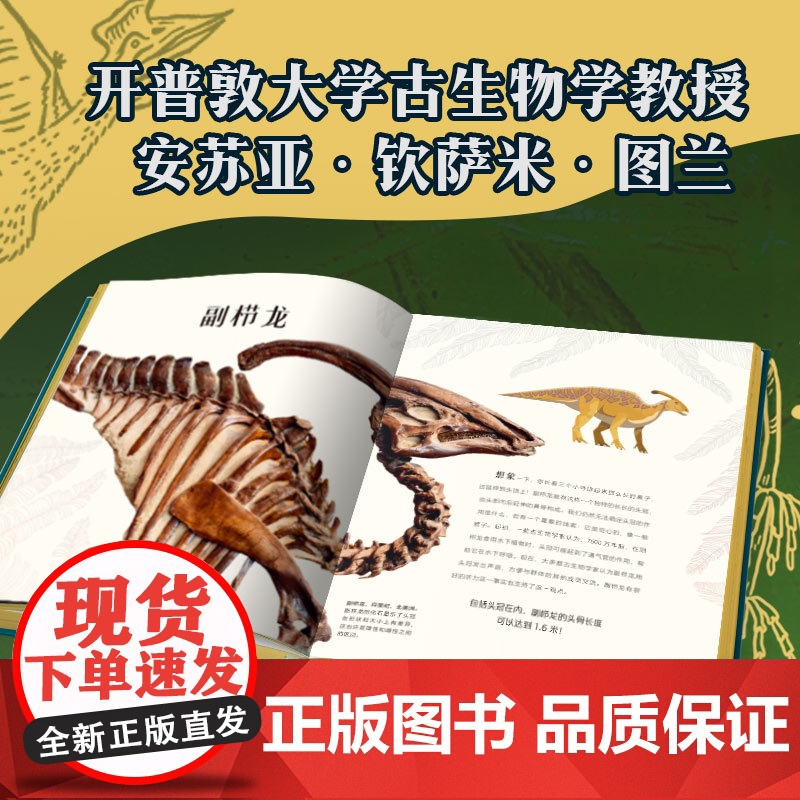 DK远古生物大发现 安苏亚钦萨米图兰著 超人气科普大V江氏小盗龙审校 值得珍藏的古生物大书 中信出版社图书正版高清大图