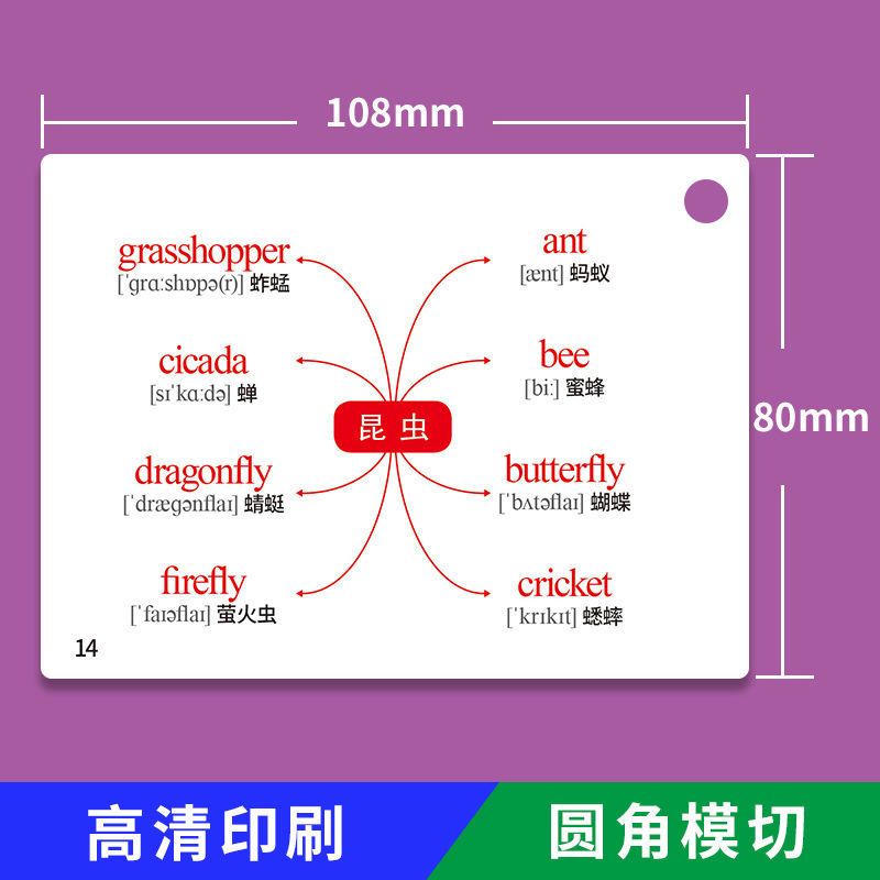小学英语分类词汇(扫码点读/铁盒装) 小学生英语单词卡片思维导图快速分类记忆轻松学英语词汇速记闪卡