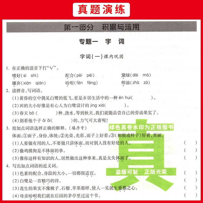 五年级分类卷语文 小学升初中 [正版]2025小学生四五六年级冲刺名校小升初分类卷语文数学英语文言文古诗词百校联盟小学毕