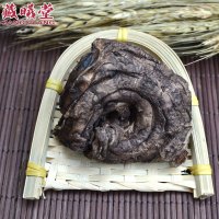 藏曦堂虎掌菌 干虎掌菌 獐子菌 西藏虎掌菌 野生虎掌菌 干獐子菌 虎掌菌（獐子菌）100克*1袋