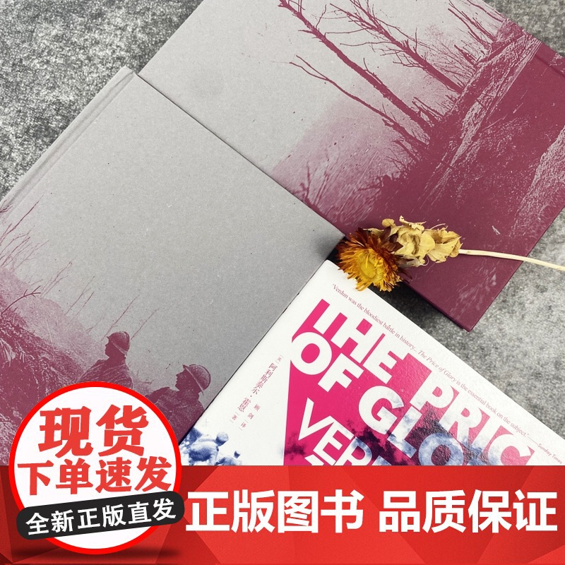 凡尔登战役 荣耀的代价 1916 凡尔登 一座血肉堆成 世界战争史高清大图